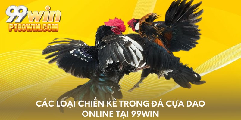 Các loại chiến kê trong đá cựa dao online tại 99WIN