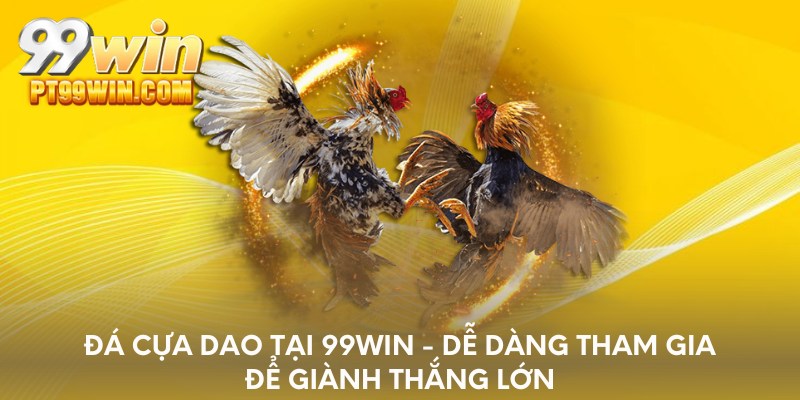 Đá cựa dao tại 99WIN - Dễ dàng tham gia để giành thắng lớn